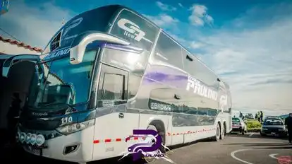 Expreso Paulino Bus-Side Image