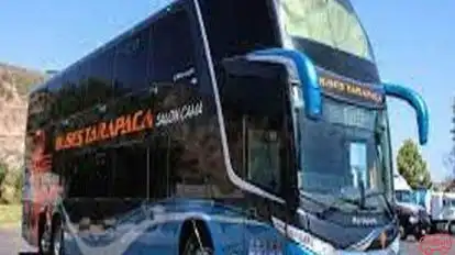 Buses Tarapaca Bus-Side Image