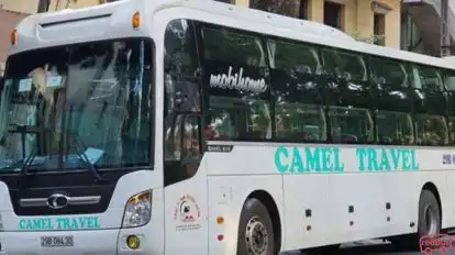 Camel Travel Bus-Side Image