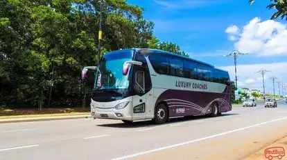 Luxury Coach Bus-Front Image