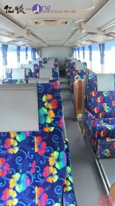 The One Tours & Travel (Five Stars Express) Bus-Seats Image