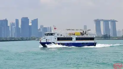 Singapore Island Cruise \u0026 Ferry Services Ferry-Side Image
