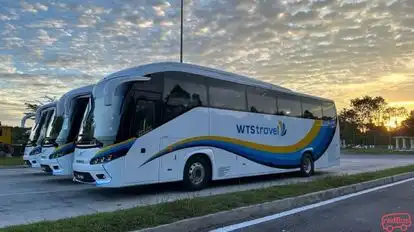 WTS Travel & Tours Bus-Side Image