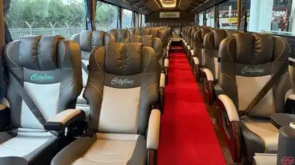 CityLine Bus-Seats Image