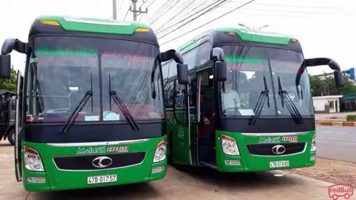 Mai Linh Bus Front Image