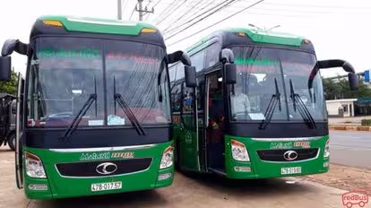 Mai Linh Bus-Front Image