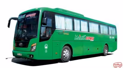 Mai Linh Bus-Side Image