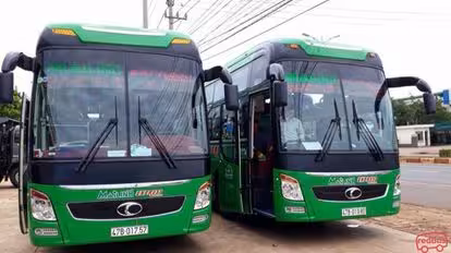 Mai Linh Bus-Front Image