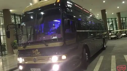 Luxury Van Limousine Bus Front Image