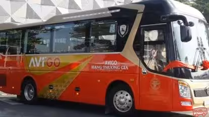Avigo Bus-Front Image