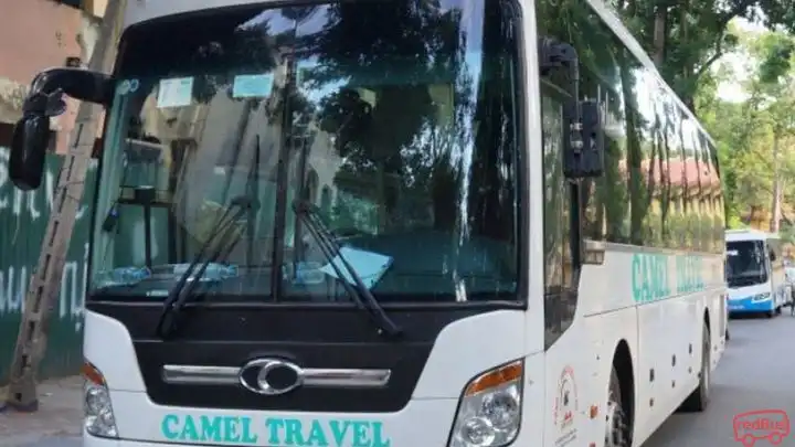 Camel Travel Bus Front Image