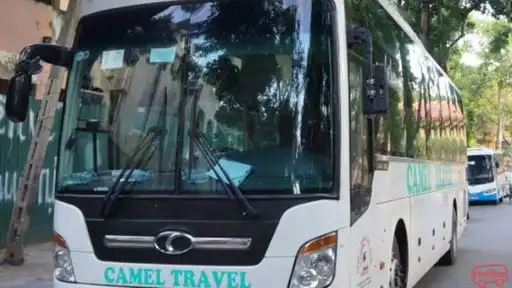 Camel Travel Bus Front Image