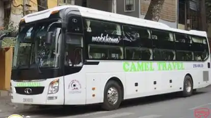 Camel Travel Bus-Front Image