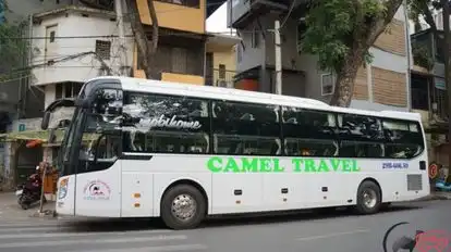 Camel Travel Bus-Side Image