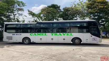 Camel Travel Bus-Side Image