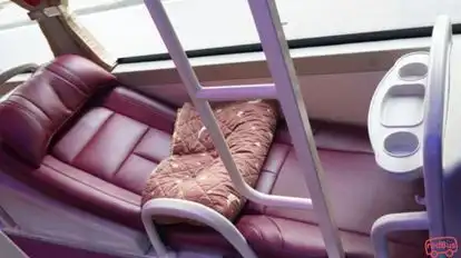 Camel Travel Bus-Seats Image