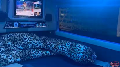 Quý Thảo Bus-Seats Image