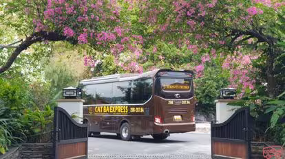 Cat Ba Transfer Bus-Amenities Image