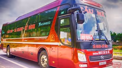 Cầu Mè Bus-Side Image
