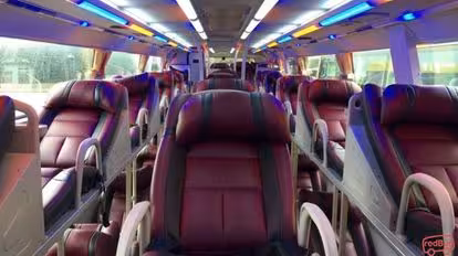 Thảo Hồng Bus-Seats Image