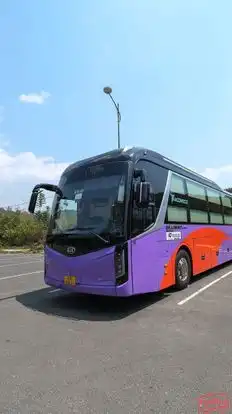 Nguyễn Kim Limousine Bus-Front Image