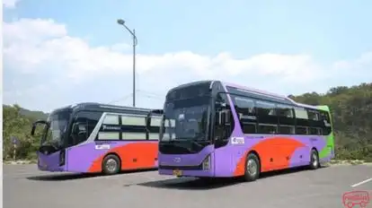 Nguyễn Kim Limousine Bus-Front Image