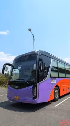 Nguyễn Kim Limousine Bus-Front Image