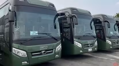 Cúc Tùng Bus-Front Image