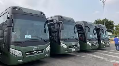 Cúc Tùng Bus-Front Image
