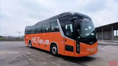 MexBus Bus-Front Image