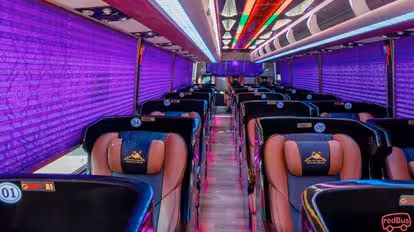 Hoàng Yến Logistics Bus-Seats Image
