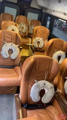 Travel Bus Bus-Amenities Image