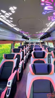 Thảo Kim Ngân Bus-Seats layout Image