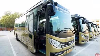 Thảo Kim Ngân Bus-Side Image