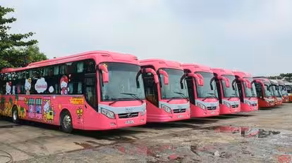 Thành Bưởi Bus-Seats Image