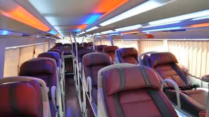 Anh Nguyên Bus-Side Image