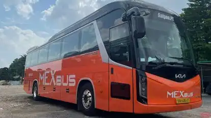 MexBus Bus-Front Image