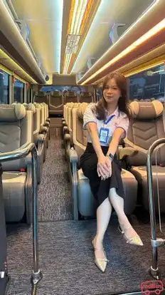 Gorotrip Limousine VIP Bus-Seats Image