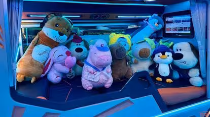 Tư Tiến Bus-Seats Image